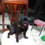 Fernando Pin Higgins - @fernandopinedahidalgo - Instagram