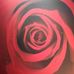 Fernando Hodges - Facebook