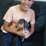 Fernando Fernando Nunes Hoffmann - Facebook