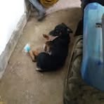 Fernando Holmes - Facebook