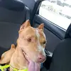 Fernando Holmes - @fernando.holmes - TikTok