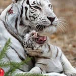 Fernando Holmes - @fernando.holmes.399 - Instagram