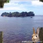 Fernando Holmes - Facebook