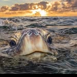 Fernando Holmes - @fernandoholmes612 - Instagram