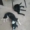 Fernando Holmes - @fernando.holmes5 - TikTok