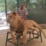 Fernando Hornos - @fernando.hornos - Instagram