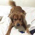 Fernando Horta - @fernando.horta.94 - Instagram