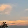 🌷Animais_de_estimação🌷 - @juliofernandohuff - TikTok