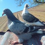 Fernando Hunt - @fernando.hunt.54 - Instagram