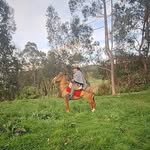 Fernando Idrovo - @idrovo643 - Instagram