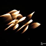 Fernando Iñigo - @zoombarte - Instagram