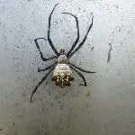 José Fernando Iñigo - @josefernandoinigo - Instagram