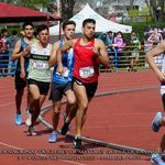 Fernando Jara - @fernandojaraa - Instagram