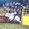fernando jara🇵🇾 - @fernando.jara11 - TikTok