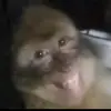 fernandojauregui209 - @fernandojauregui209 - TikTok