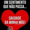 Fernando Joao - @fernando.joao5 - TikTok