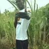 Fernando Joao - @fernandojoao3533 - TikTok