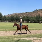 Fernando Lavin - @ton_lavin - Instagram