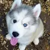 Fernando Leon - @fernando.leon782 - TikTok
