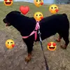 Fernando Leon - @fernando.leon169 - TikTok