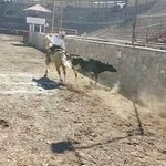 Fernando Leos - @leos.fernando - Instagram