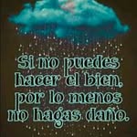 fernando lezama - @lezamafernando_ - Instagram