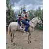 Fernando Llanas - @fernando.llanas2 - TikTok