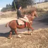 Fer Lobos - @fernando_lobos99 - TikTok