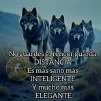 Fernando Lobos - Facebook