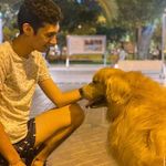 Fernando Lozada - @fernandolozadar - Instagram
