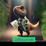 Fernando Maceda - @fernando.maceda.988 - Instagram