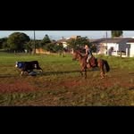 Fernando Maciel - @fer.nando_maciel - Instagram
