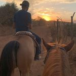 Fernando Mariscal - @fernando_mg70 - Instagram