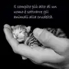 Fernando Marzano - @fernando.marzano7 - TikTok