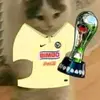 Fernando May - @fernando.may94 - TikTok