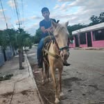 Fernando May - @fernando.may14 - Instagram