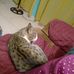 Fernando Mclean - Facebook