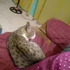 Fernando Mclean - @fernando.mclean7 - TikTok