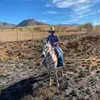 Fernando Mena - @fernando.mena18 - TikTok