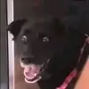 Fernando Mena - @fernando.mena938 - TikTok