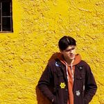 Fernando Meneses🥑 | Director de Contenido y Community Manager - @fershow_99 - Instagram
