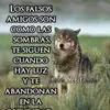 Fernando Merida - @fernando.merida71 - TikTok