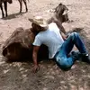 Fernando Merida - @fernando.merida1 - TikTok