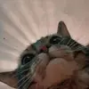 Fernando Merida - @fernando_merida_ - TikTok
