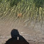 Fernando Montiel - @fermonttiel - Instagram