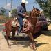 Fernando Montiel - Facebook