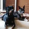 Fernando Mulero Sant - @fernandomulerosan - TikTok