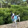 fernando_.narvaez - @fernando_.narvaez - TikTok