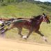 Fernando Neto - Facebook