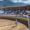 Fernando Ocampo - @fernandoocampo52 - TikTok